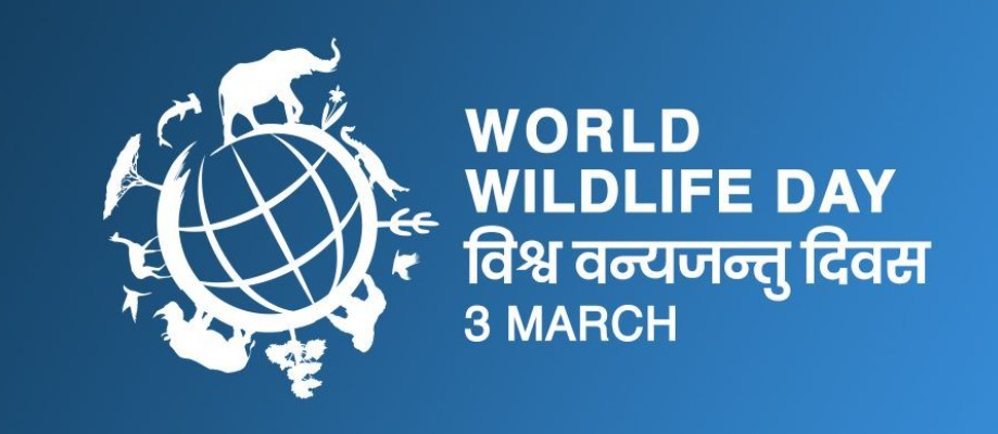 विश्व वन्यजन्तु दिवस