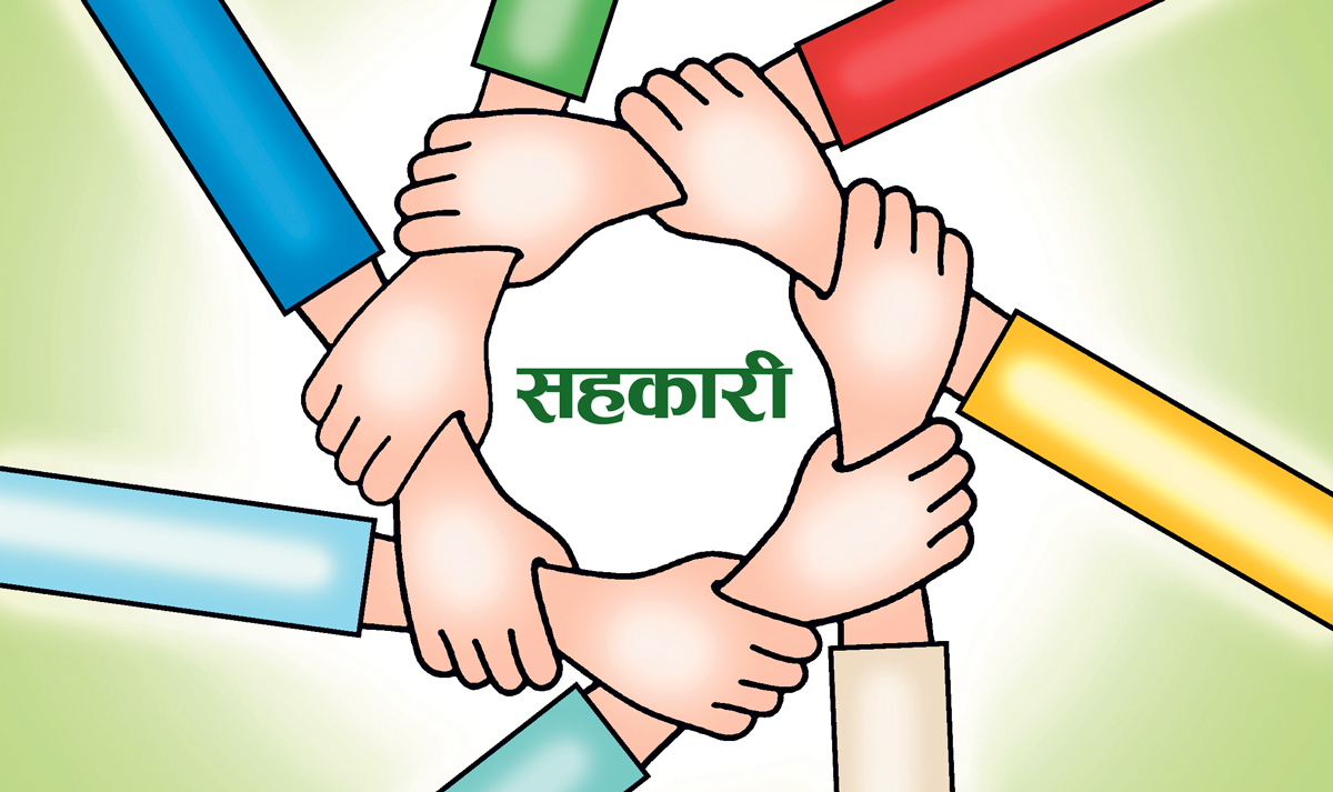 सहकारी सम्बन्धी जानकारी